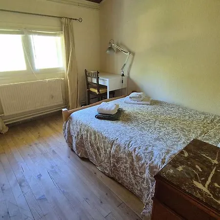 Catlove Villa *