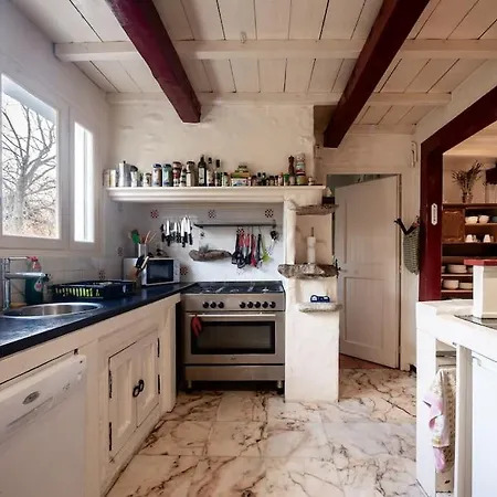 Catlove Villa *